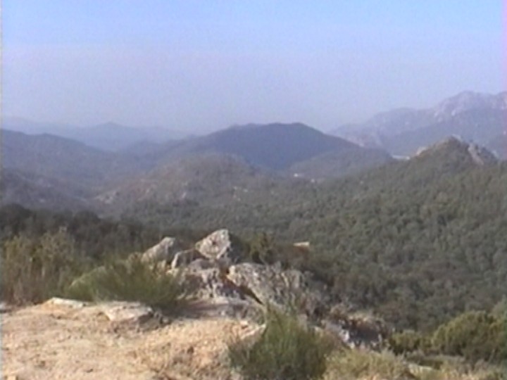 03.jpg