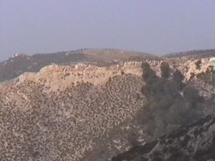 08.jpg