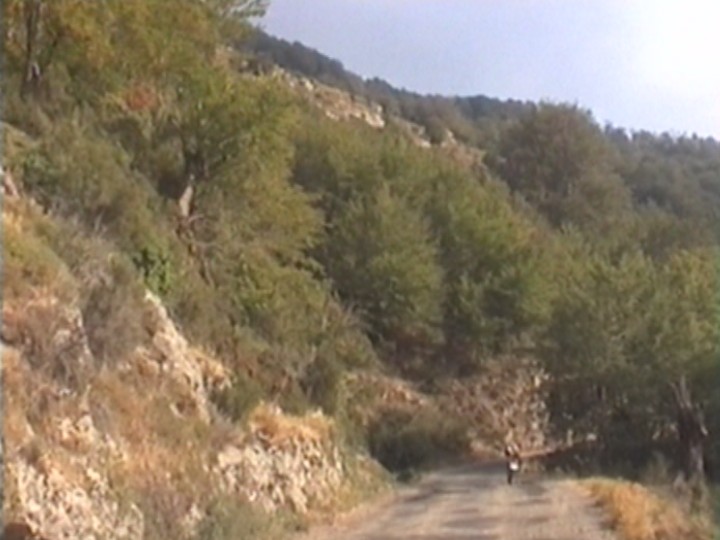 44.jpg