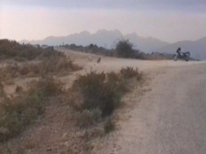 54.jpg