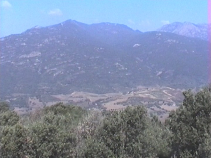 06.jpg