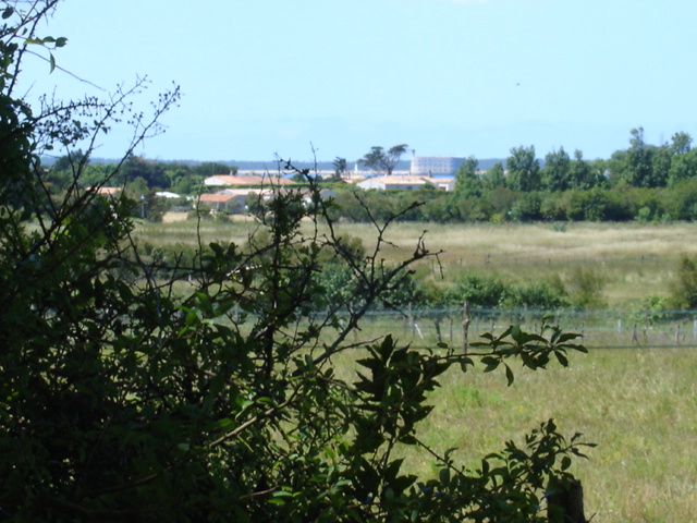 DSC03679.JPG