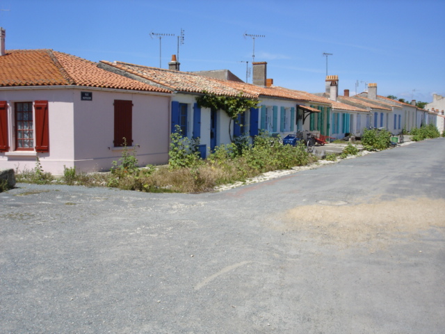 DSC03728.JPG