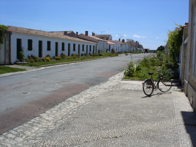 DSC03732.JPG