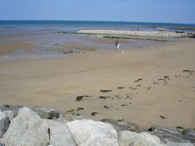 DSC03748.JPG