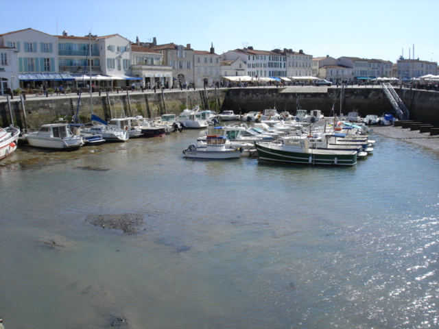 DSC03750.JPG
