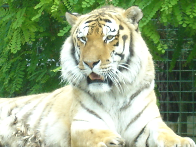 DSC03962.JPG