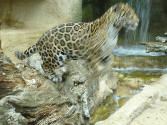 DSC03965.JPG