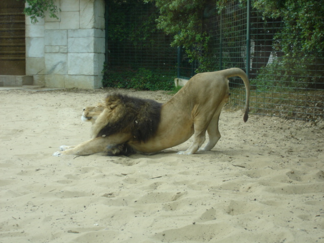 DSC03988.JPG