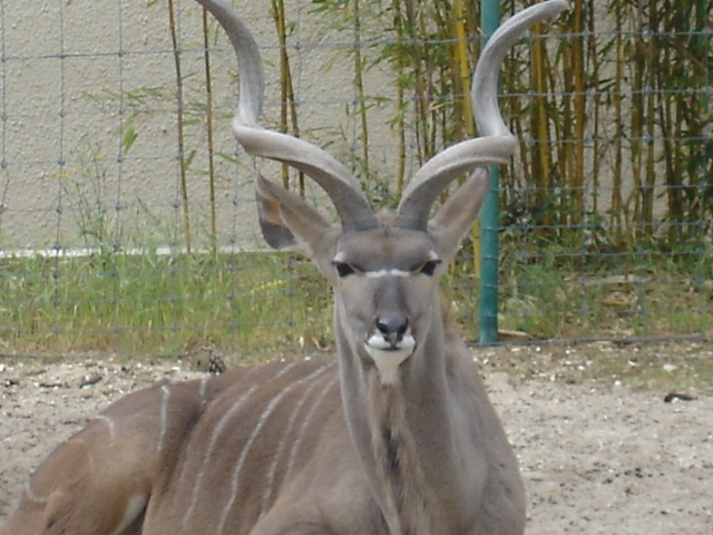 DSC04017.JPG