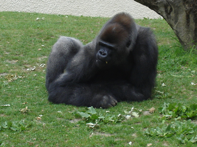 DSC04033.JPG