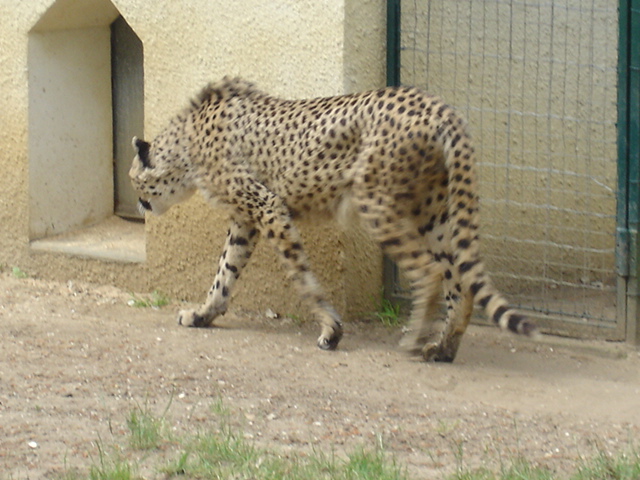 DSC04037.JPG
