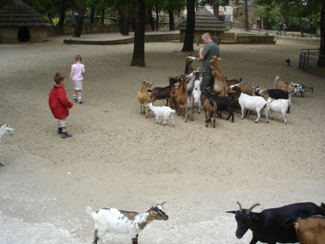 DSC04094.JPG
