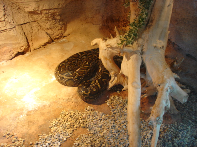 DSC04115.JPG