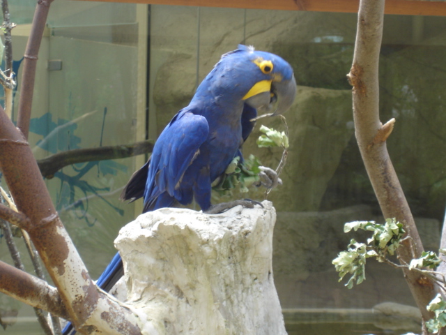 DSC04135.JPG