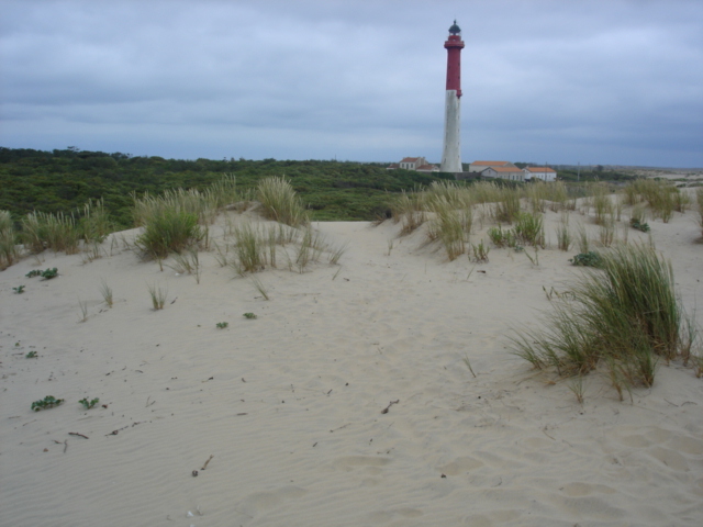 DSC04142.JPG