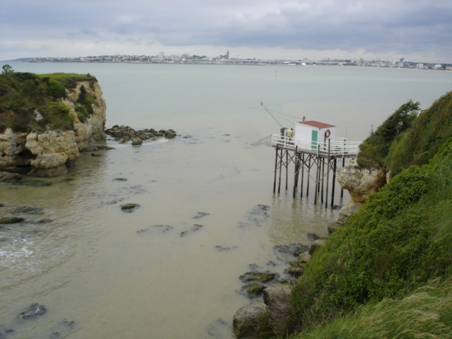 DSC04154.JPG