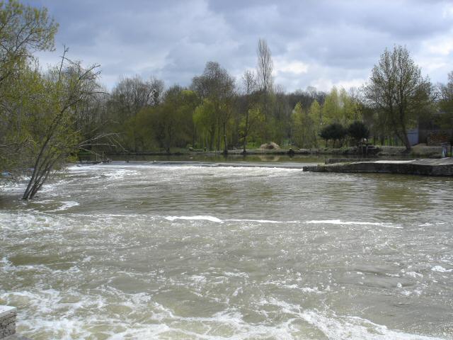 DSC06711.JPG