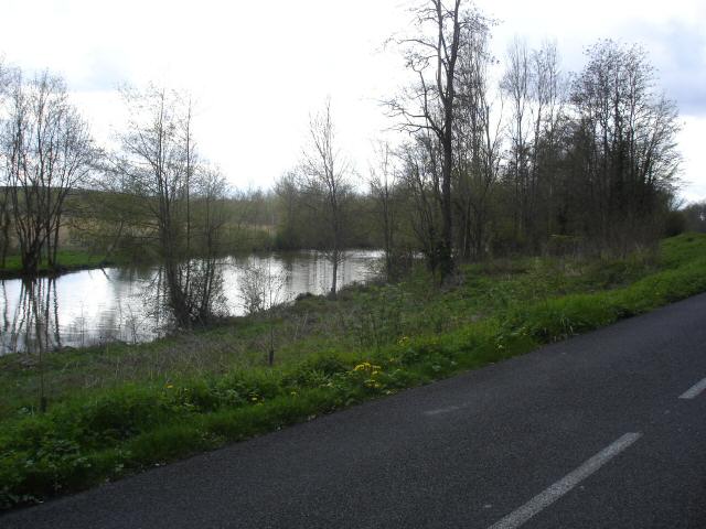 DSC06729.JPG
