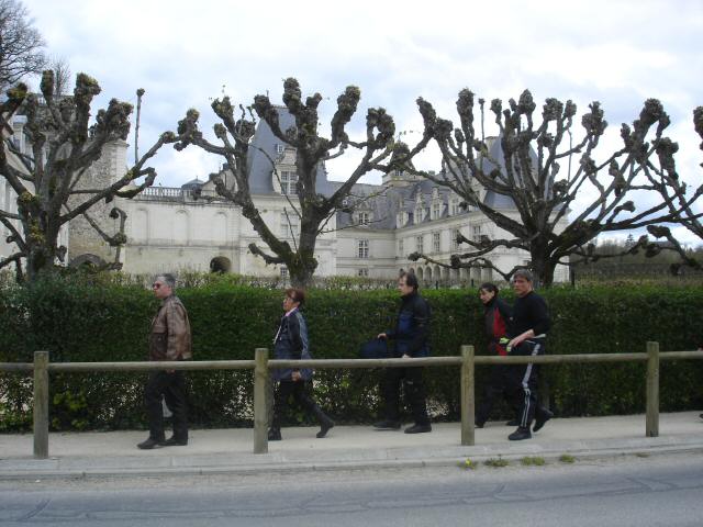 DSC06730.JPG