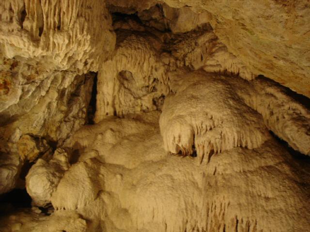 DSC06741.JPG