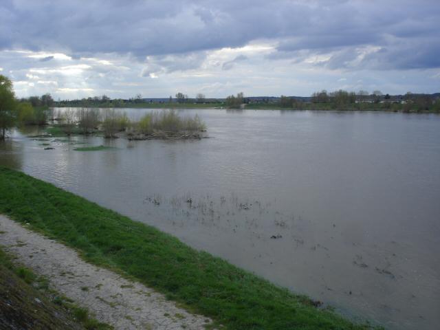 DSC06753.JPG