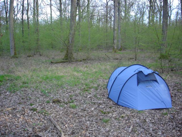DSC06759.JPG