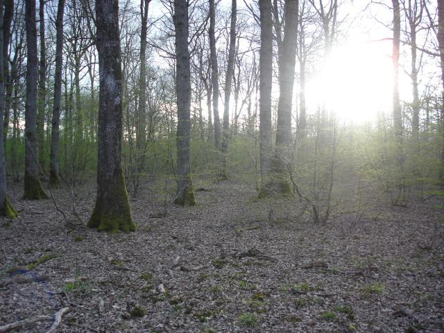 DSC06760.JPG