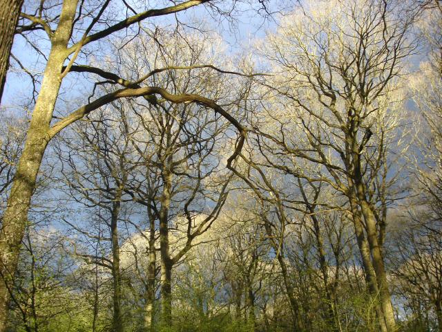 DSC06763.JPG