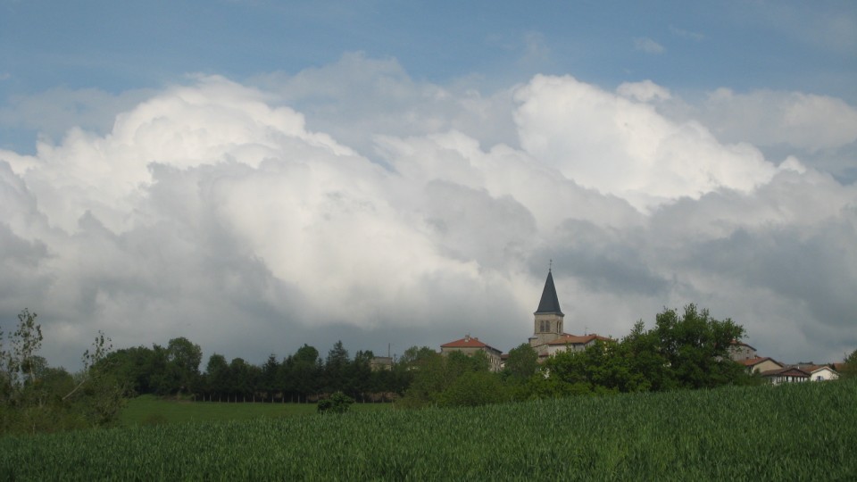 135.JPG
