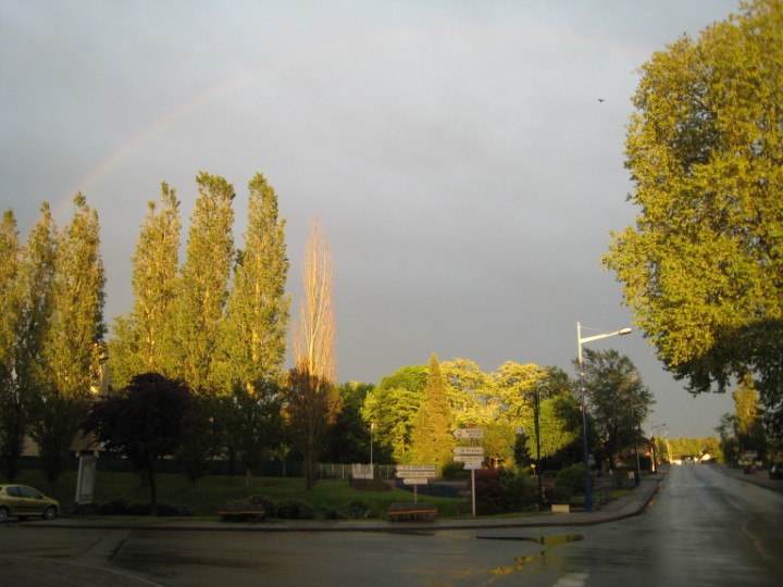 138.JPG